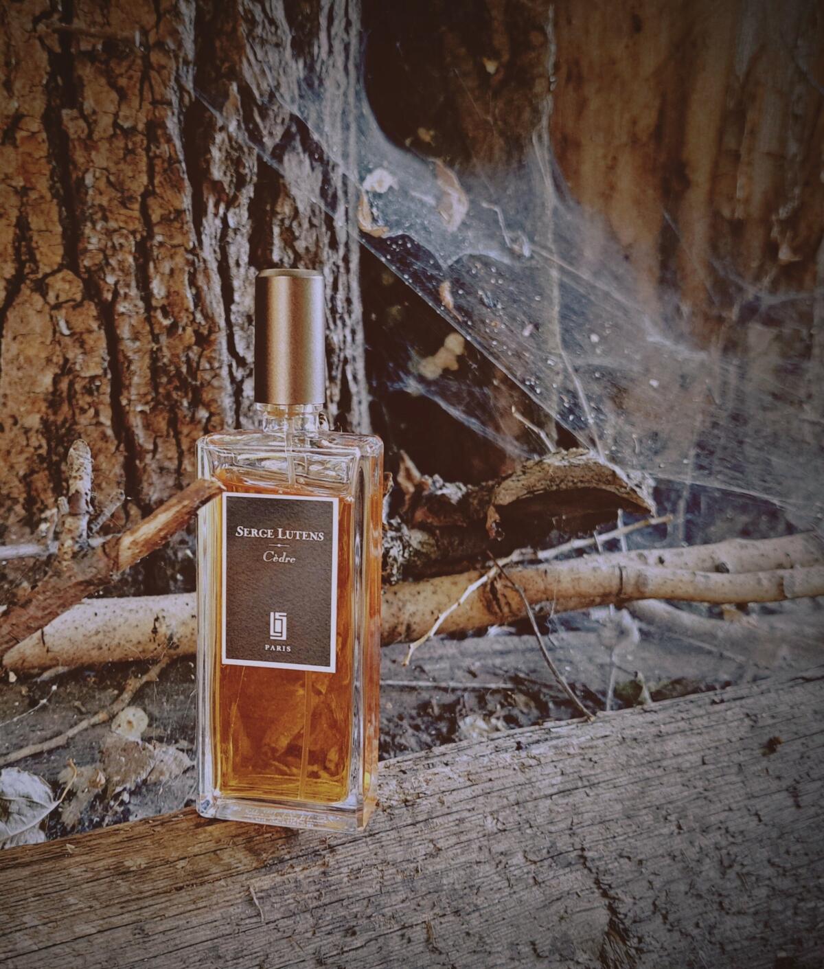 عطر ادکلن سدر سرج لوتنس - Cedre Serge Lutens - بررسی، قیمت و خرید