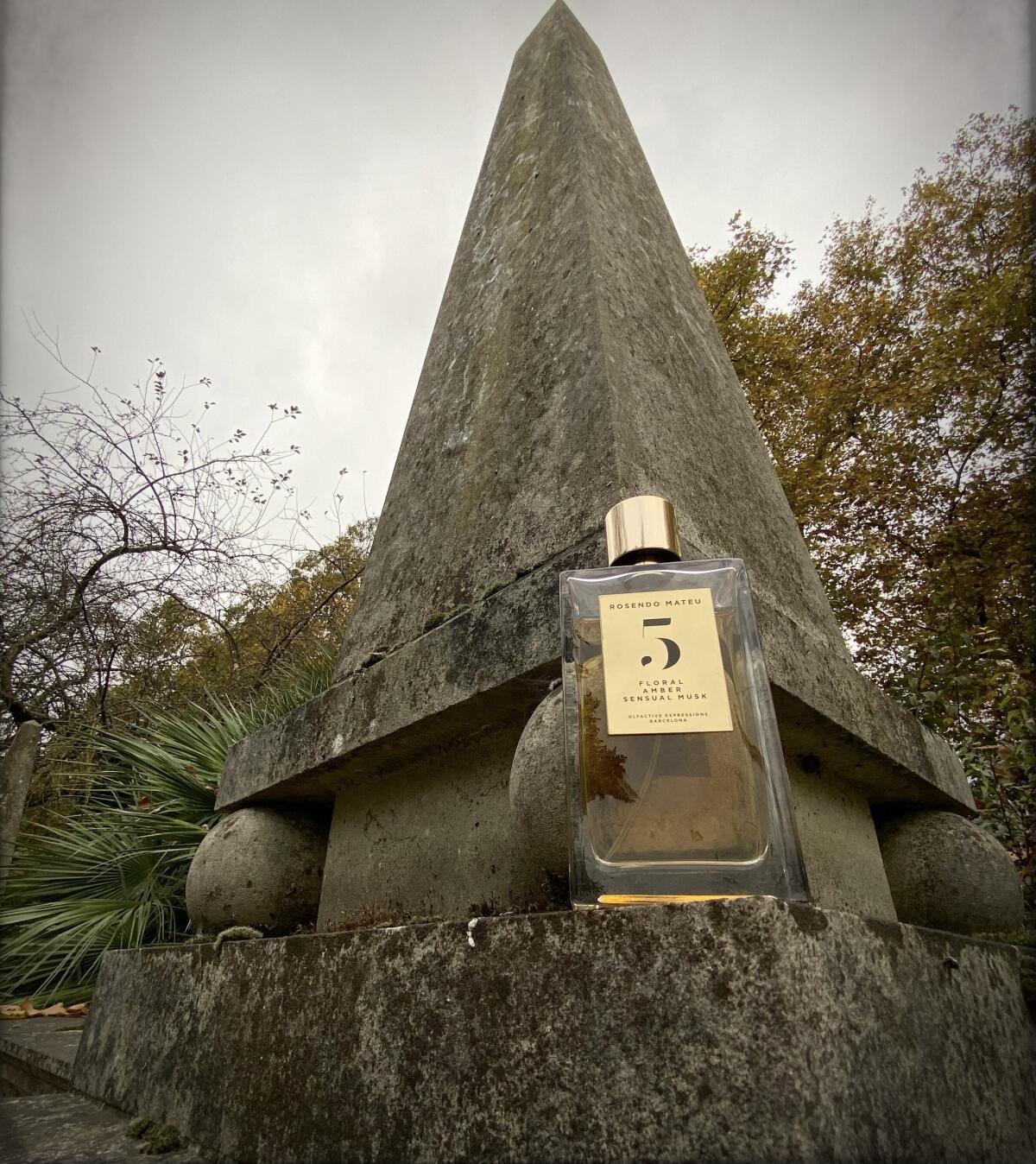 عطر ادکلن رزندو ماتئو نامبر فایو فلورال، امبر، سنشوال ماسک رسندو ماتئو اولفکتیو اکسپرشنز - Rosendo Mateu Nº 5 Floral, Amber, Sensual Musk Rosendo Mateu Olfactive Expressions - بررسی، قیمت و خرید