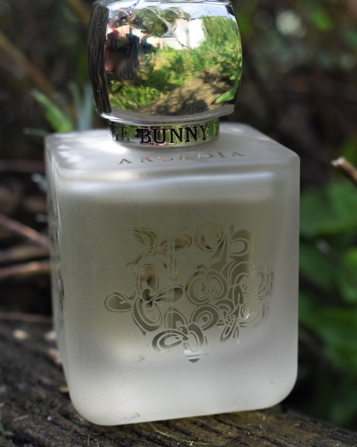عطر ادکلن آرکیدیا روژ بانی روژ - Arcadia Rouge Bunny Rouge - بررسی، قیمت و خرید