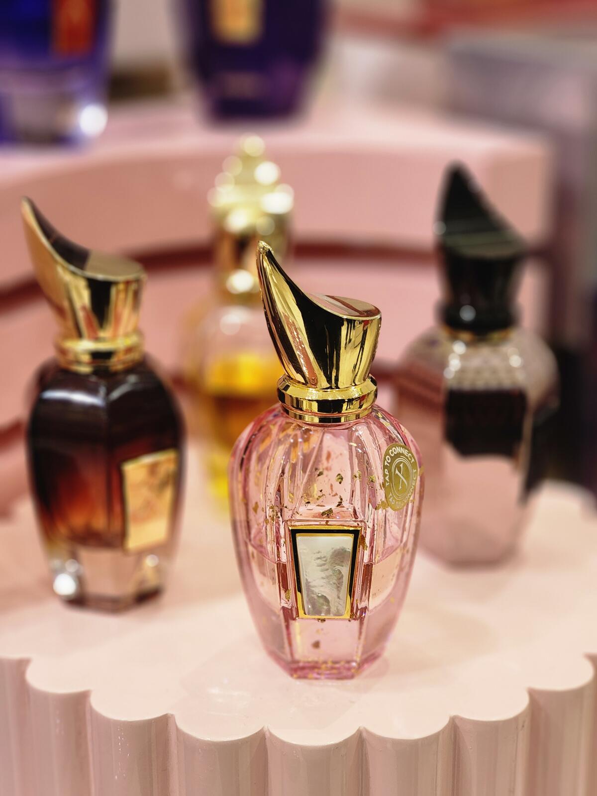 عطر ادکلن ال انیورسری زرژاف - Elle Anniversary Xerjoff - بررسی، قیمت و خرید