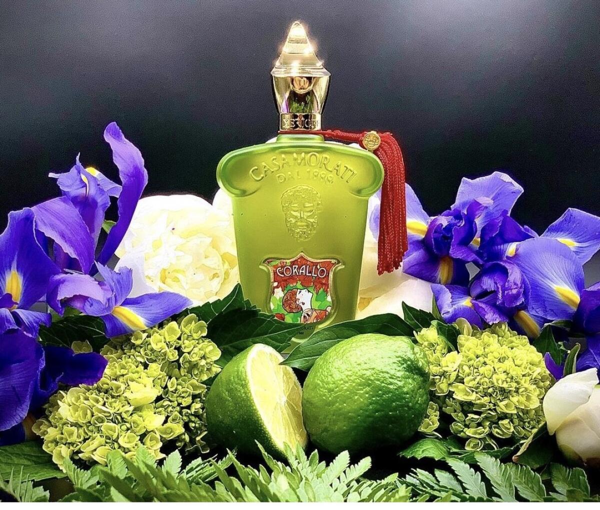 عطر ادکلن کورالو زرژوف - Corallo Xerjoff - بررسی، قیمت و خرید
