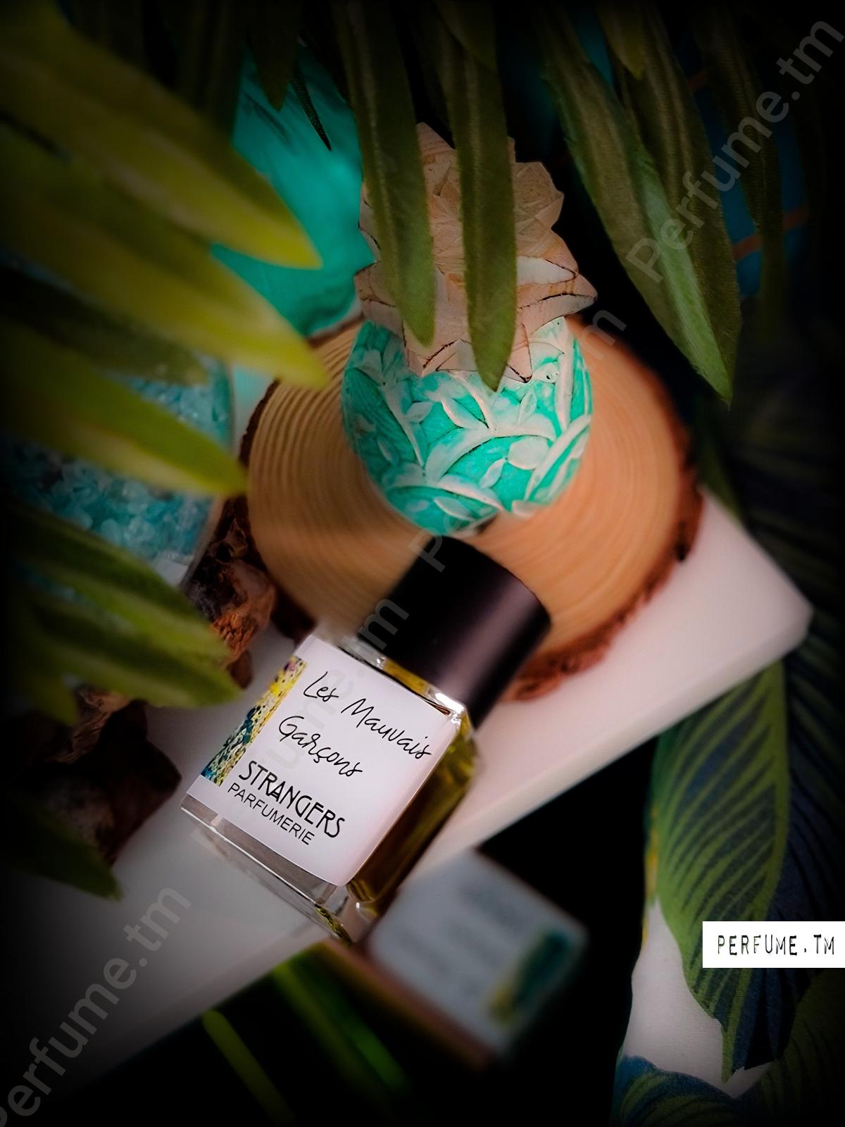 عطر ادکلن له مووه گارسون استرنجرز پرفیومری - Les Mauvais Garçons Strangers Parfumerie - بررسی، قیمت و خرید