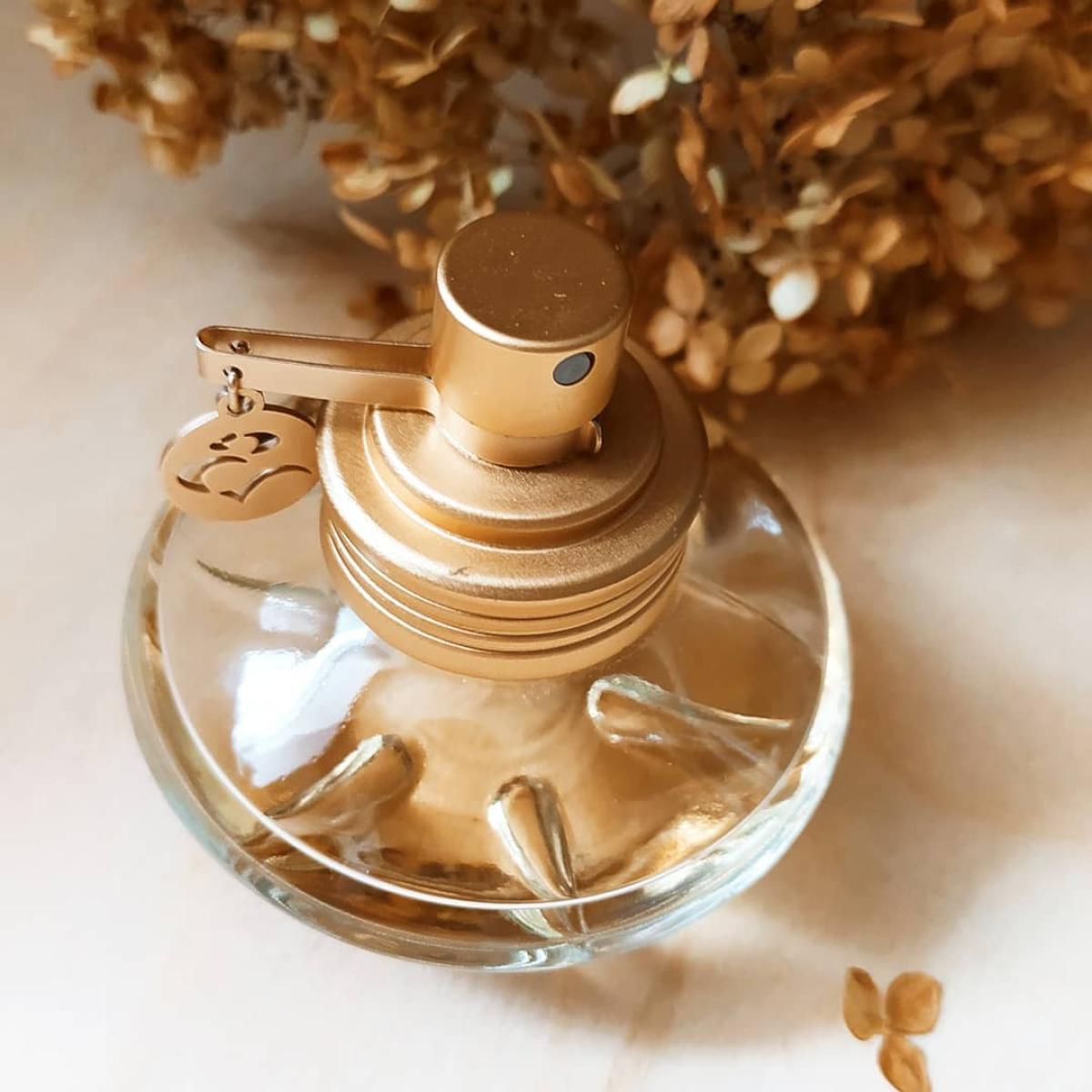 عطر ادکلن اس شکیرا - S Shakira - بررسی، قیمت و خرید