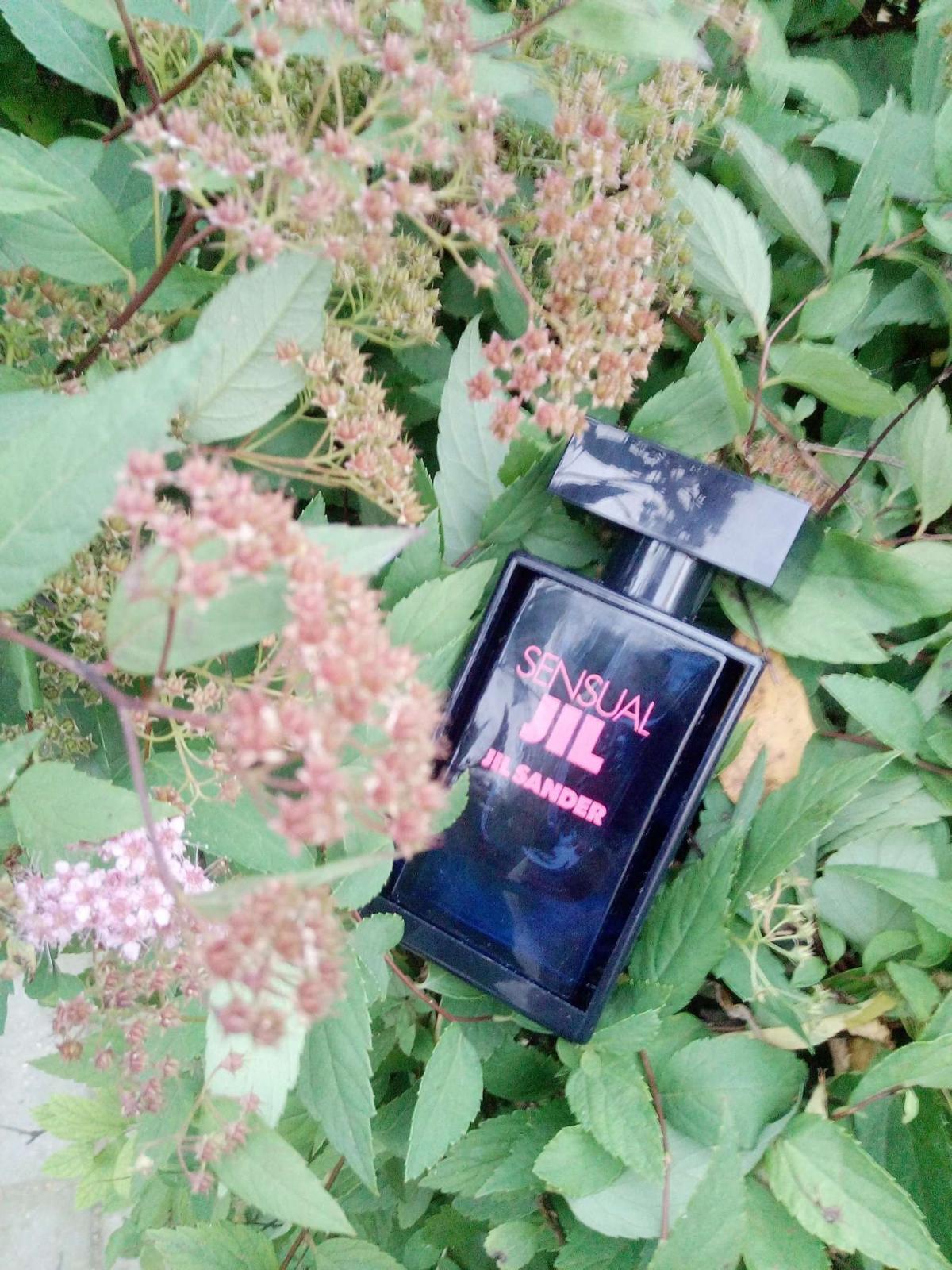 عطر ادکلن سنشوال جیل جیل ساندر - Sensual Jil Jil Sander - بررسی، قیمت و خرید