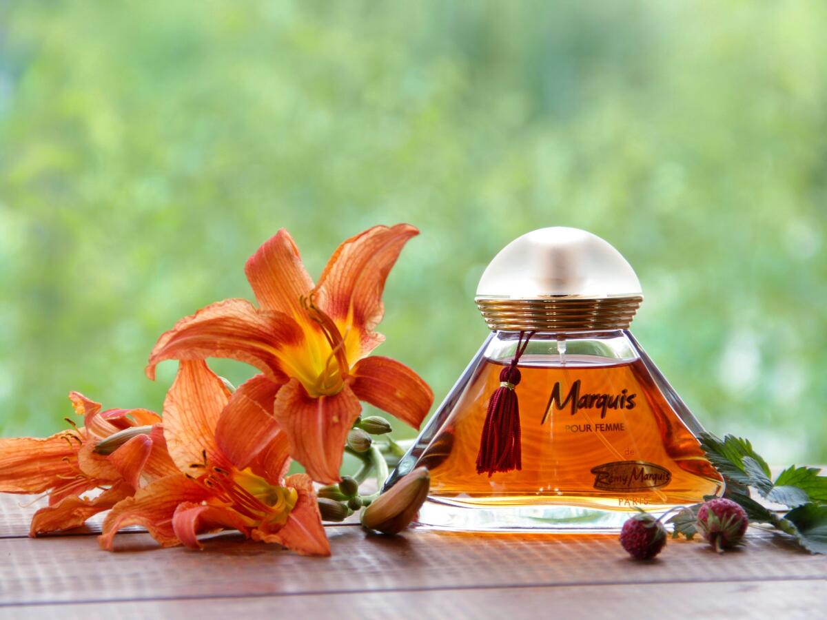 عطر ادکلن مارکی رمی مارکوی - Marquis Remy Marquis - بررسی، قیمت و خرید