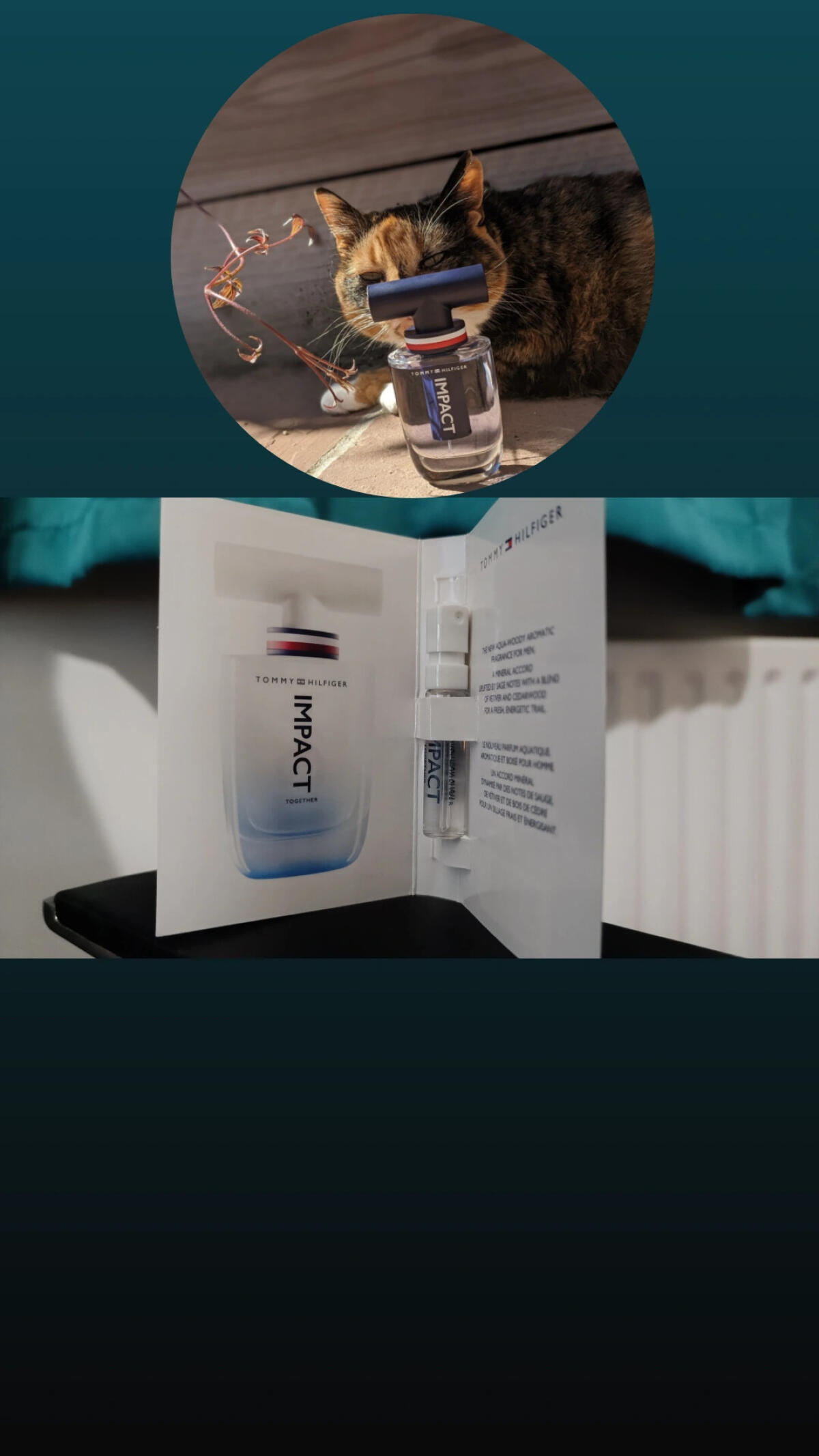 عطر ادکلن ایمپکت توگدر تامی هیلفیگر - Impact Together Tommy Hilfiger - بررسی، قیمت و خرید