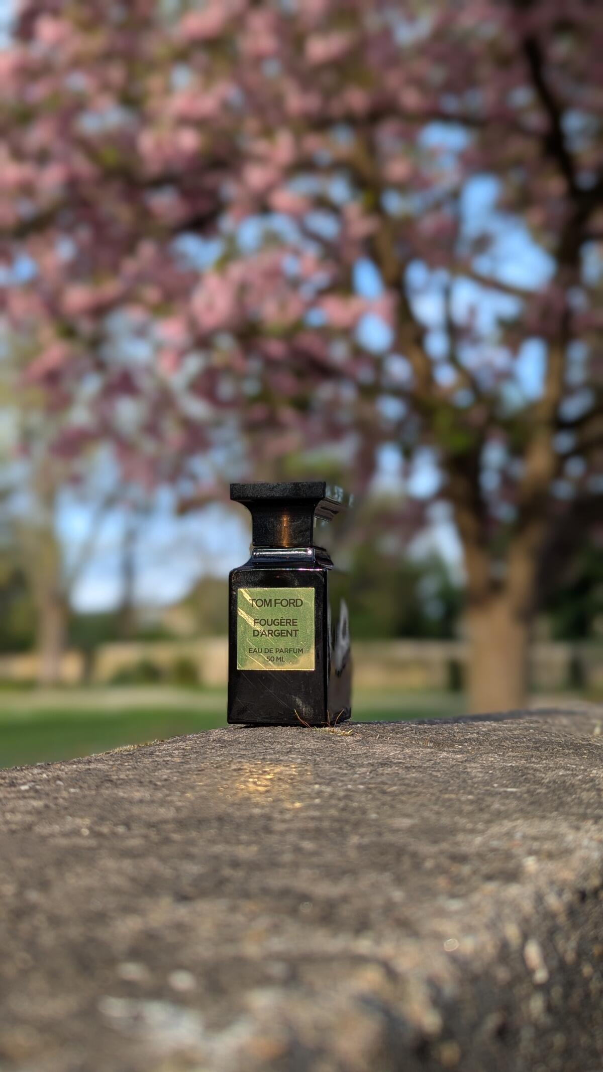 عطر ادکلن فوزی د آرژانت تام فورد - Fougère d’Argent Tom Ford - بررسی، قیمت و خرید