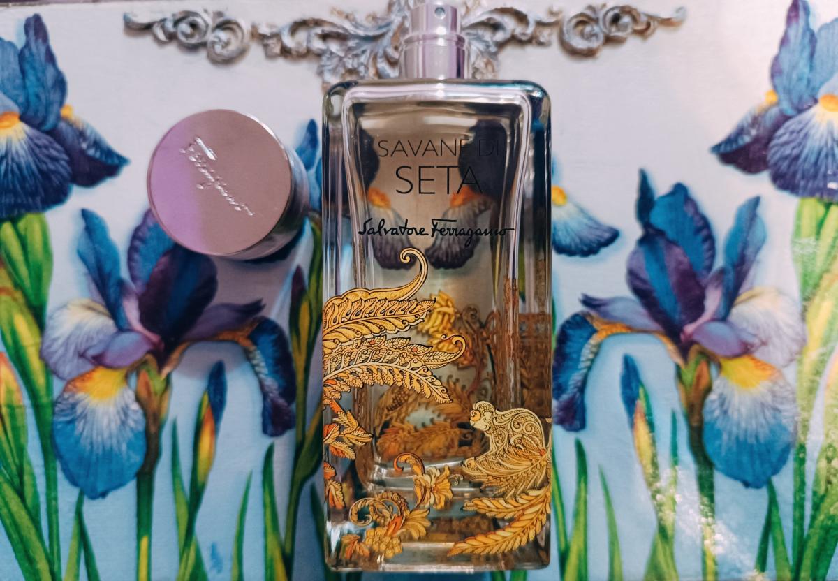 عطر ادکلن ساوان دی ستا سالواتوره فراگامو - Savane di Seta Salvatore Ferragamo - بررسی، قیمت و خرید