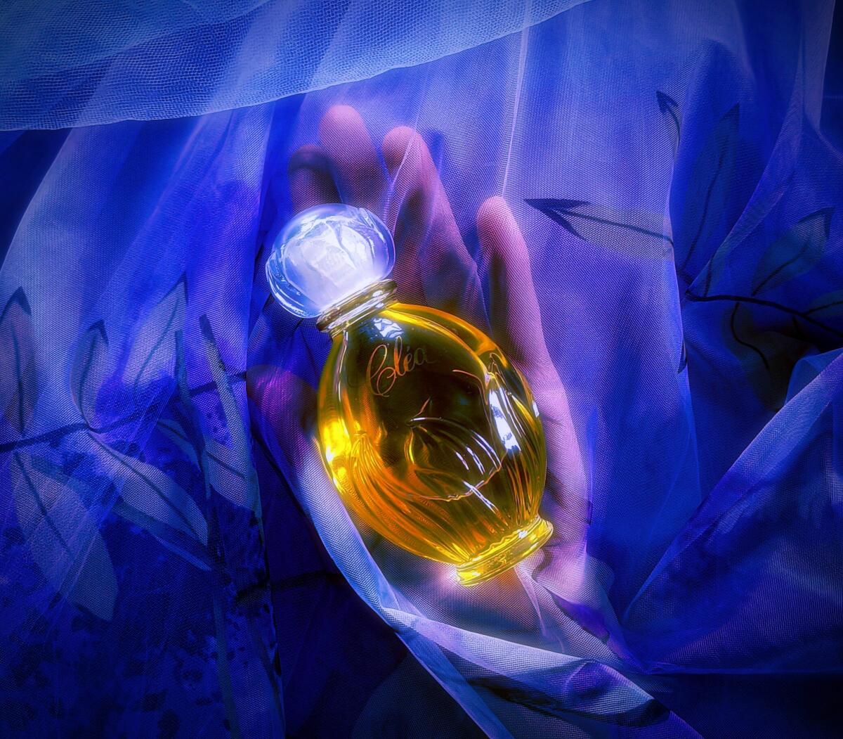عطر ادکلن کلی ایوروشه - Clea Yves Rocher - بررسی، قیمت و خرید