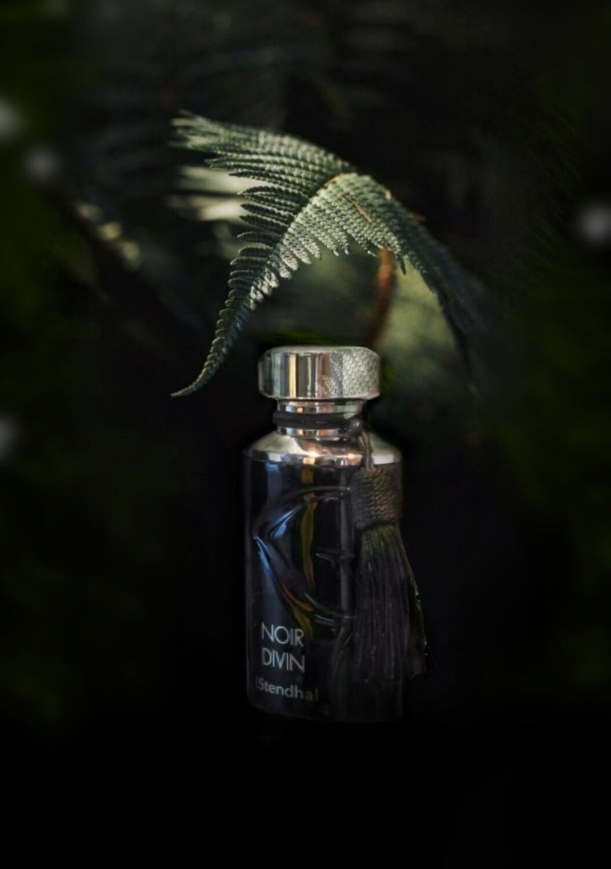 عطر ادکلن نوآر دیوین استندال - Noir Divin Stendhal - بررسی، قیمت و خرید