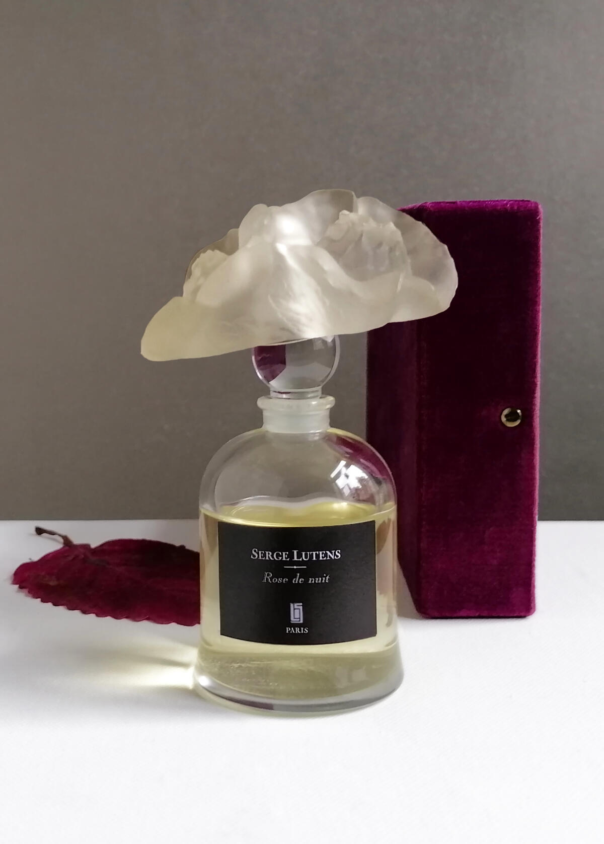 عطر ادکلن روز د نویی سرژ لوتنس - Rose de Nuit Serge Lutens - بررسی، قیمت و خرید