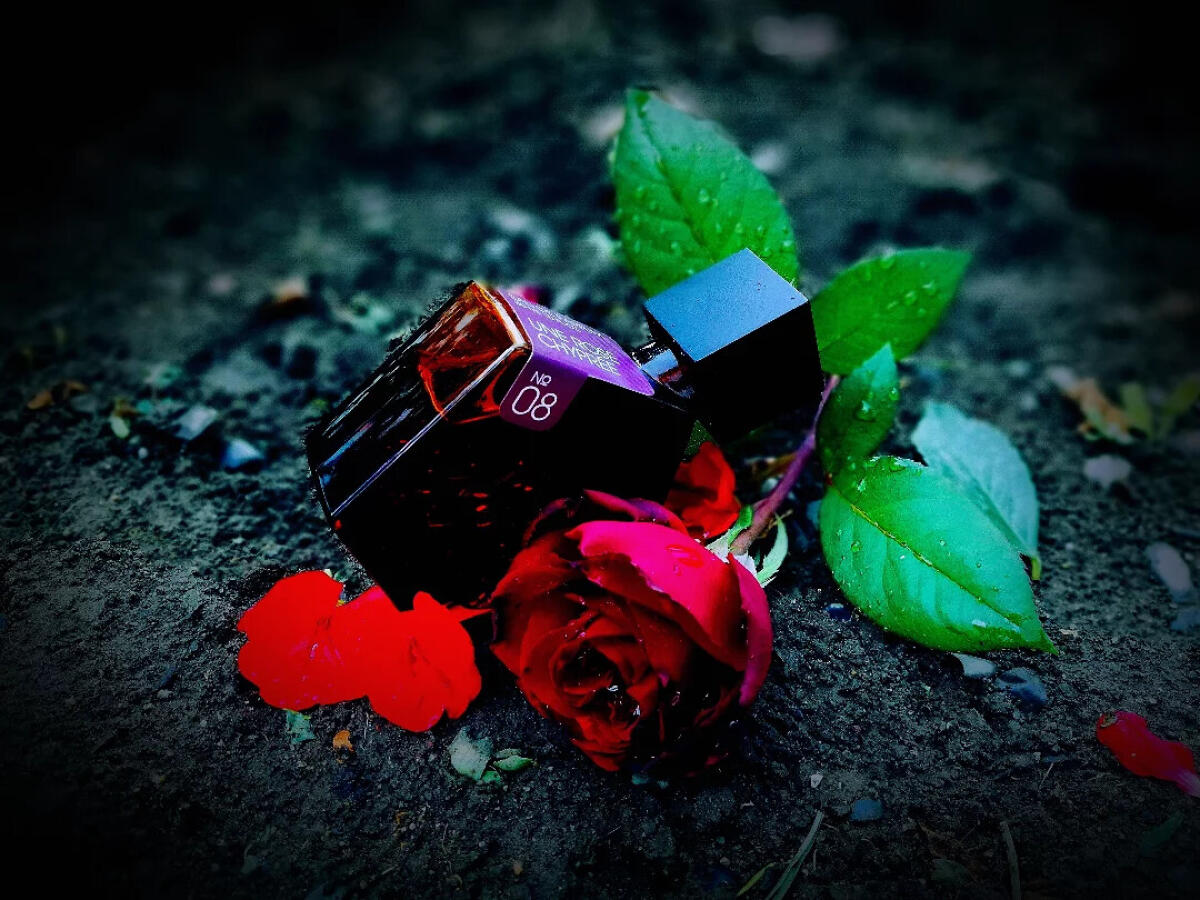 عطر ادکلن اُنه رز شیپغی تاور پرفیومز - 08 Une Rose Chypree Tauer Perfumes - بررسی، قیمت و خرید