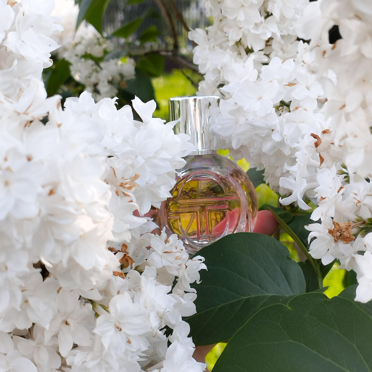 عطر ادکلن لا وُله سرجیو تاشینی - La Volée Sergio Tacchini - بررسی، قیمت و خرید