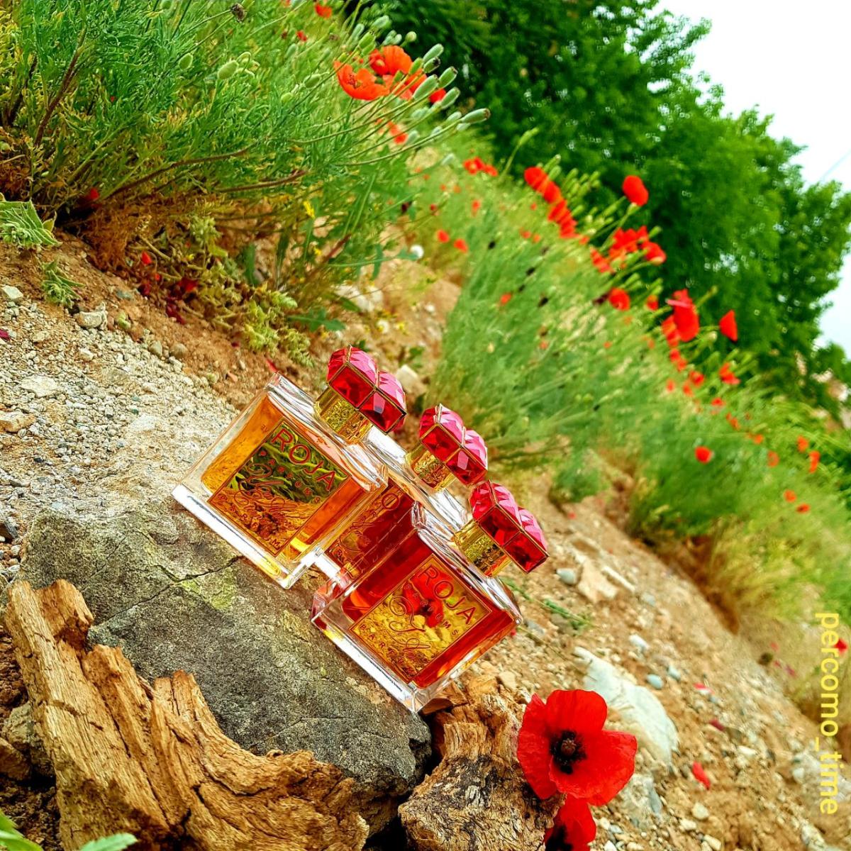 عطر ادکلن اموره میو روجا داو - Amore Mio Roja Dove - بررسی، قیمت و خرید