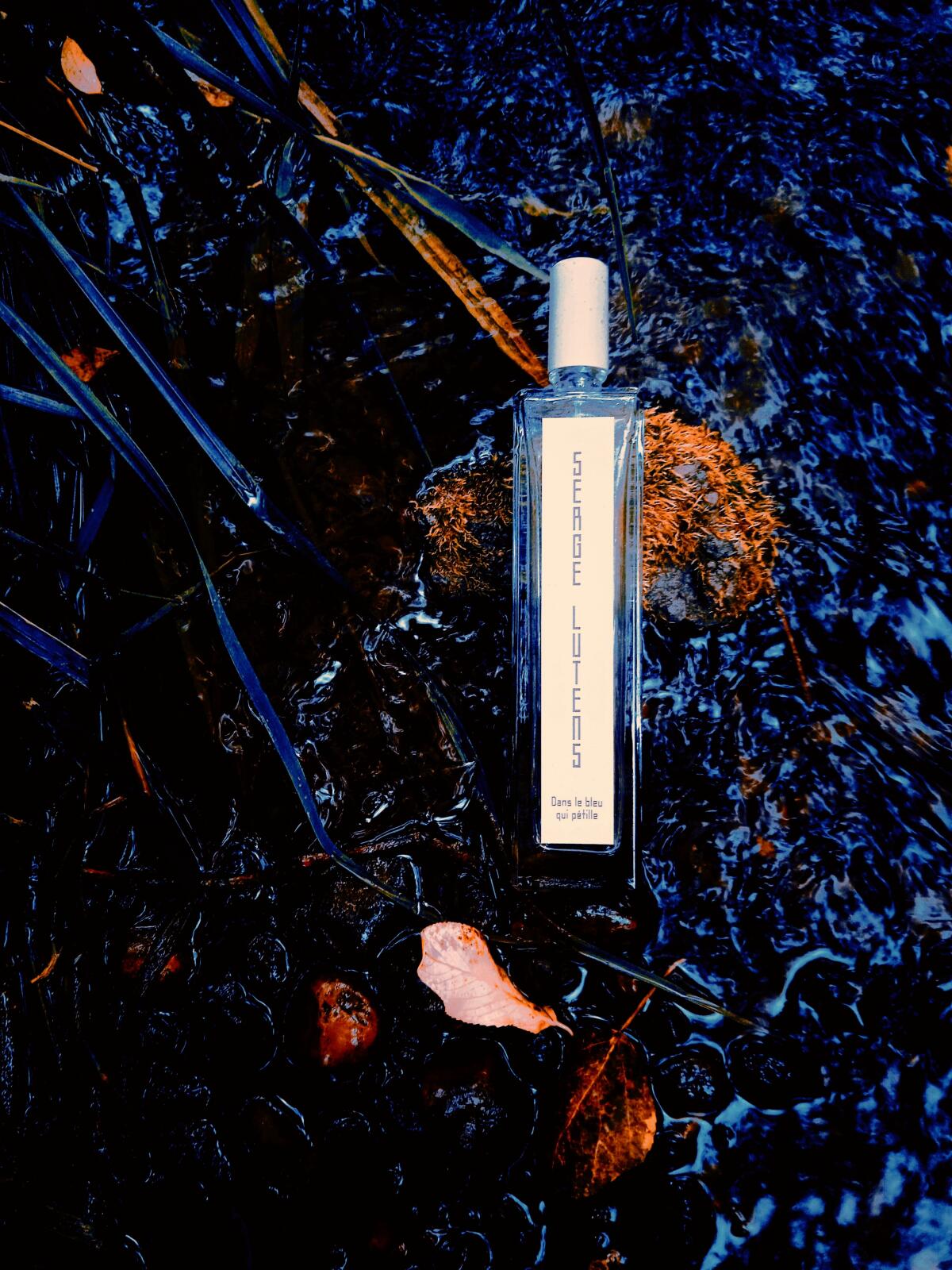 عطر ادکلن دان له بلو کی پتَیل سرج لوتنس - Dans Le Bleu Qui Pétille Serge Lutens - بررسی، قیمت و خرید