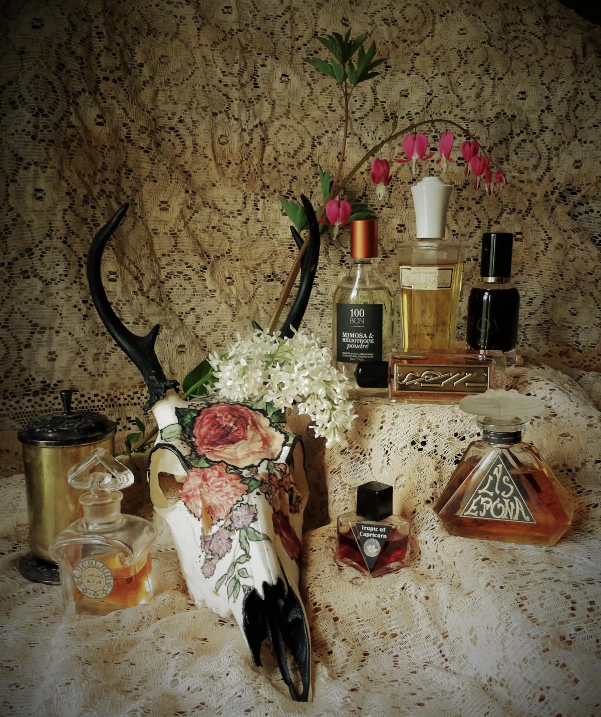 عطر ادکلن سووا اسلمبرهاوس - Sova Slumberhouse - بررسی، قیمت و خرید