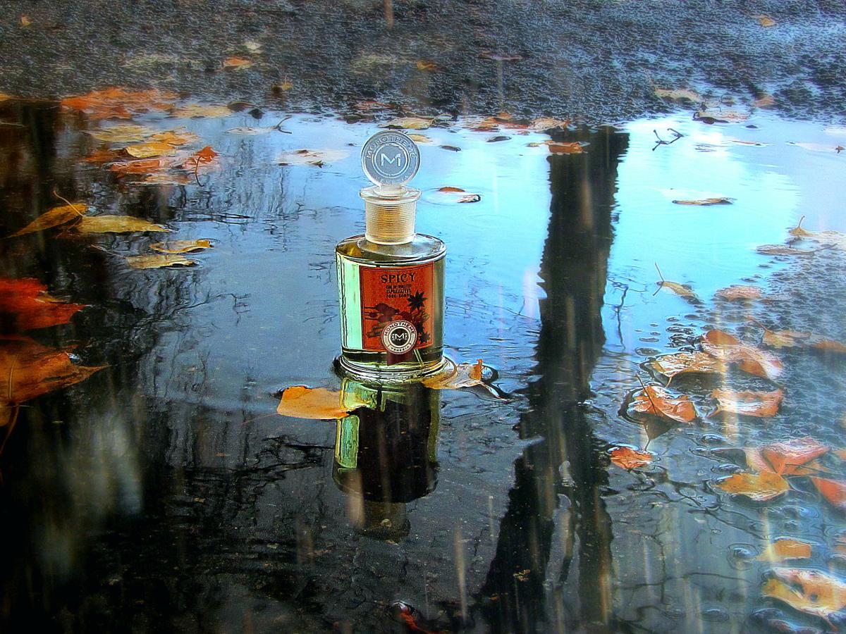 عطر ادکلن اسپایسی مونوتم ونیزیا - Spicy Monotheme Venezia - بررسی، قیمت و خرید