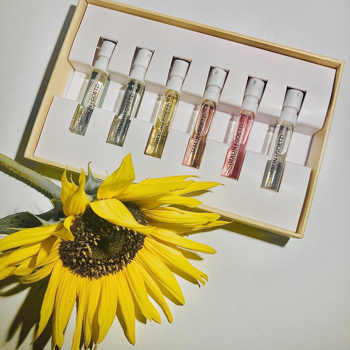 عطر ادکلن کانابیس ادو پرفیوم مالین اند گوتز - Cannabis Eau de Parfum Malin+Goetz - بررسی، قیمت و خرید