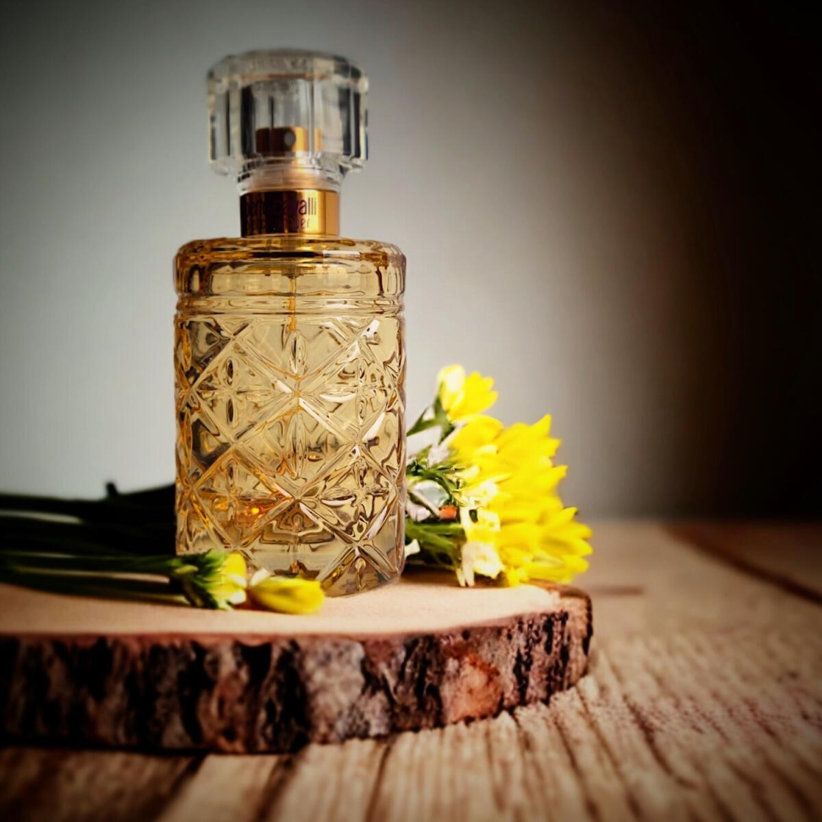 عطر ادکلن فلورنس آمبر روبرتو کاوالی - Florence Amber Roberto Cavalli - بررسی، قیمت و خرید