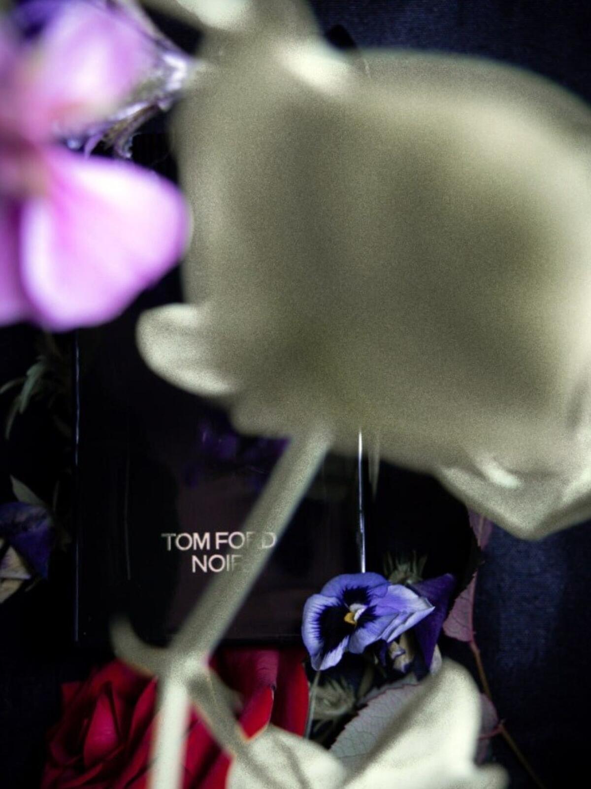 عطر ادکلن نوآر تام فورد - Noir Tom Ford - بررسی، قیمت و خرید