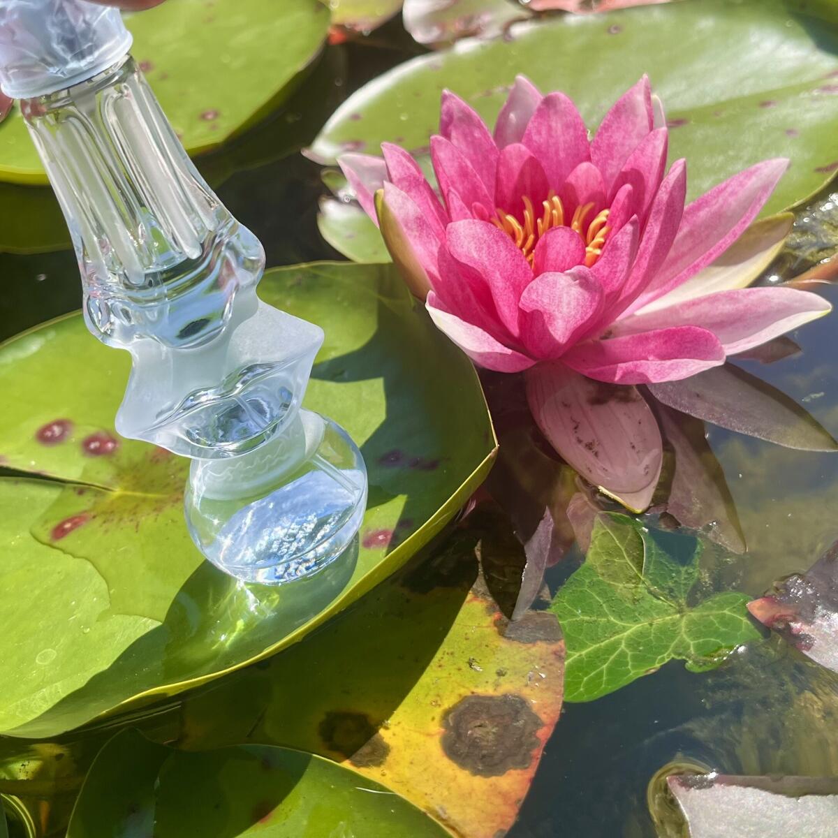 عطر ادکلن دالیلایت سالوادور دالی - Dalilight Salvador Dali - بررسی، قیمت و خرید