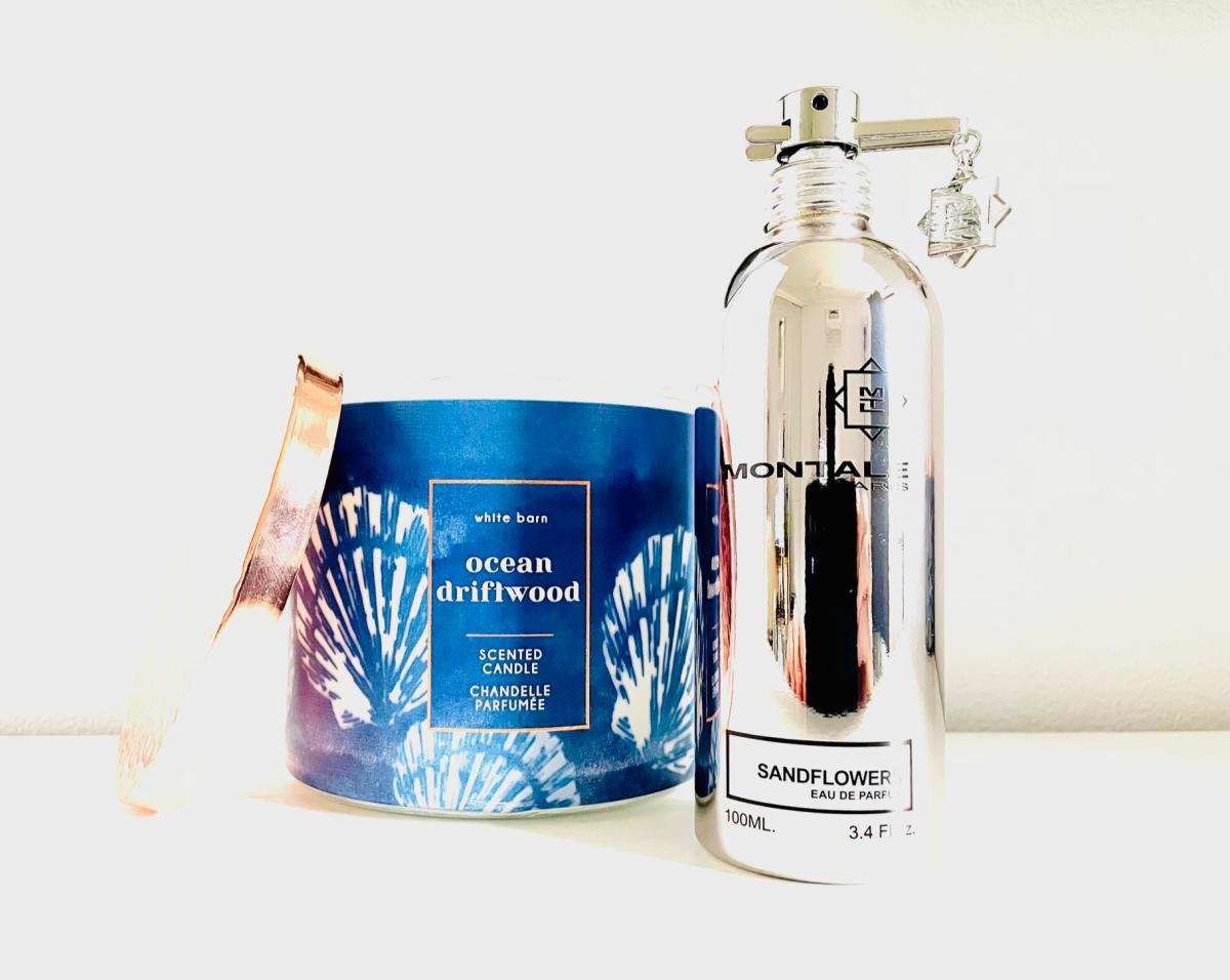 عطر ادکلن سن‌دفلاورز مونتال - Sandflowers Montale - بررسی، قیمت و خرید