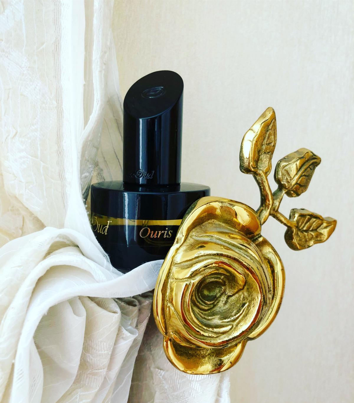 عطر ادکلن آوریس سعود - Ouris SoOud - بررسی، قیمت و خرید