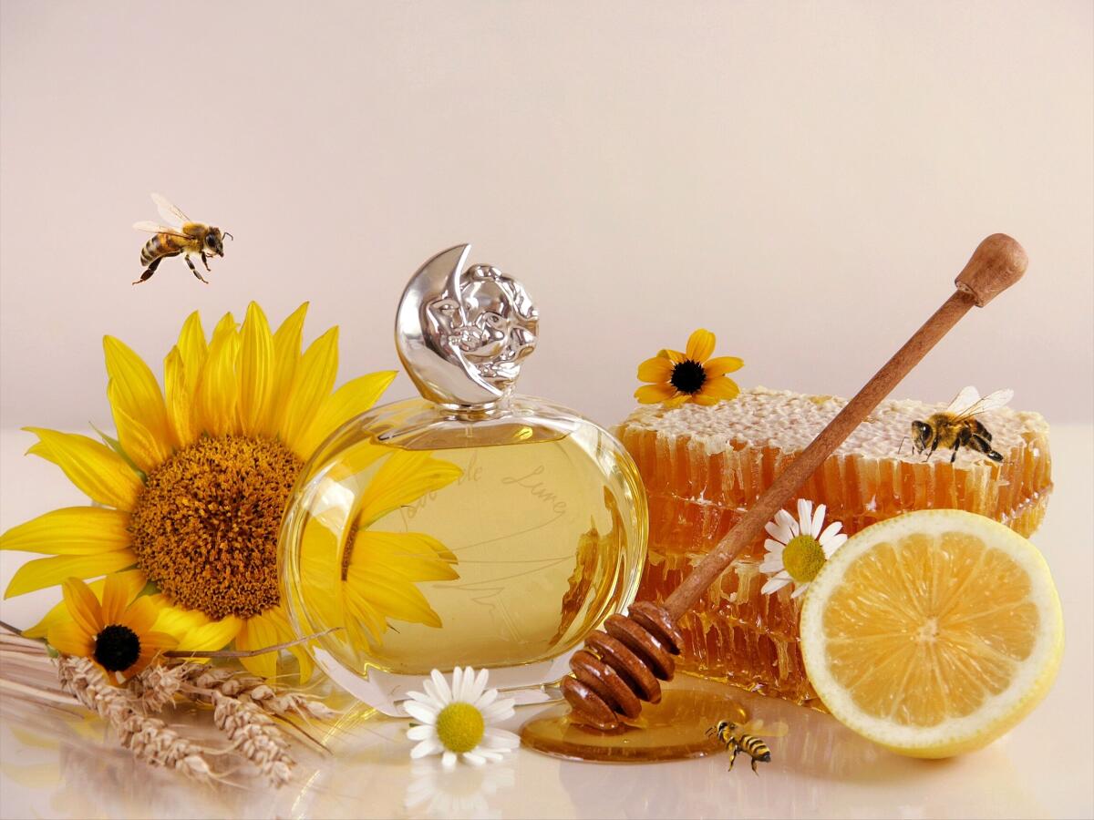 عطر ادکلن سغور د لون سیسلی - Soir de Lune Sisley - بررسی، قیمت و خرید