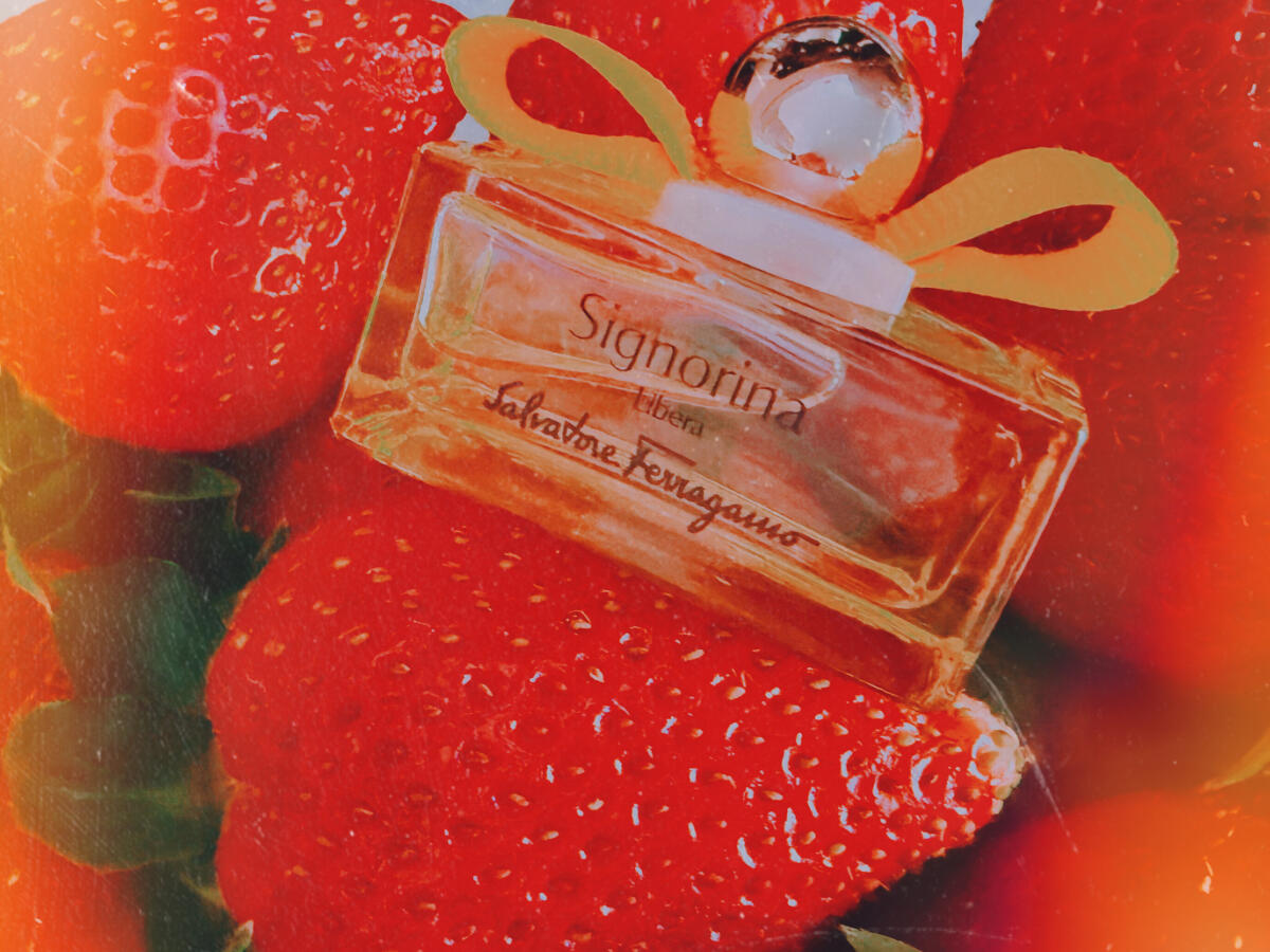 عطر ادکلن سینیورینا لیبِرا سالواتوره فراگامو - Signorina Libera Salvatore Ferragamo - بررسی، قیمت و خرید