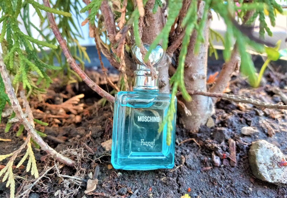 عطر ادکلن ماسکینو فانی! ماسکینو - Moschino Funny! Moschino - بررسی، قیمت و خرید