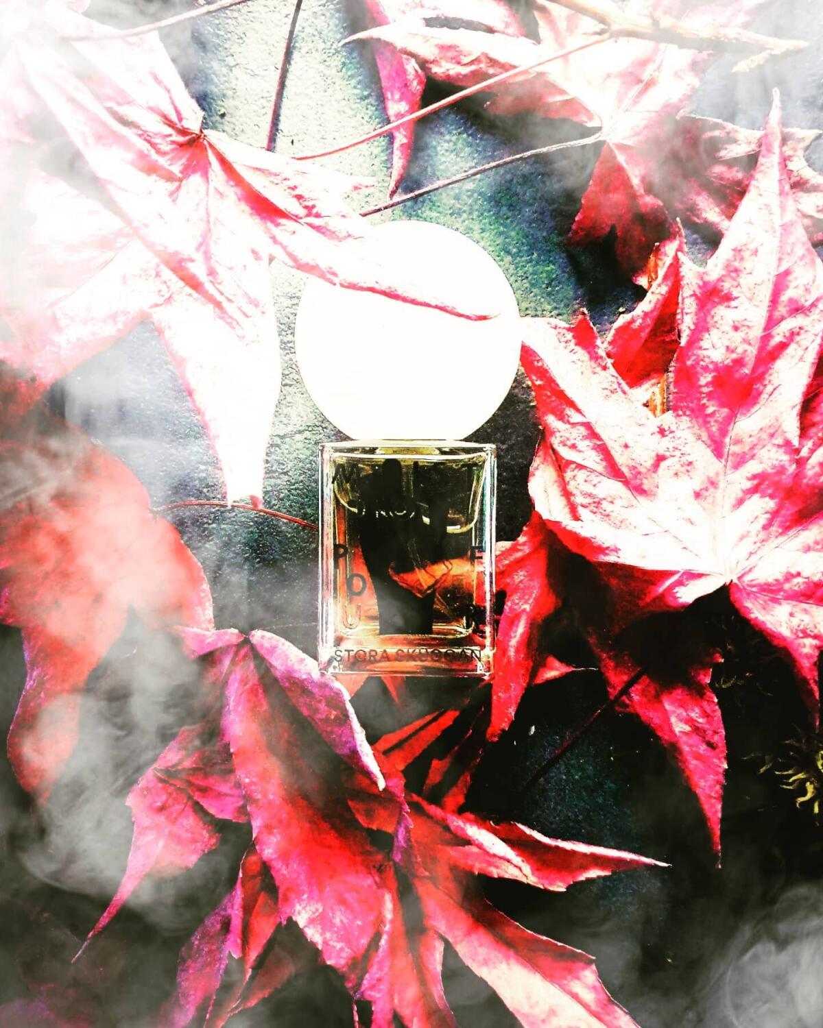 عطر ادکلن میست‌پوفِر استورا سکگان - Mistpouffer Stora Skuggan - بررسی، قیمت و خرید