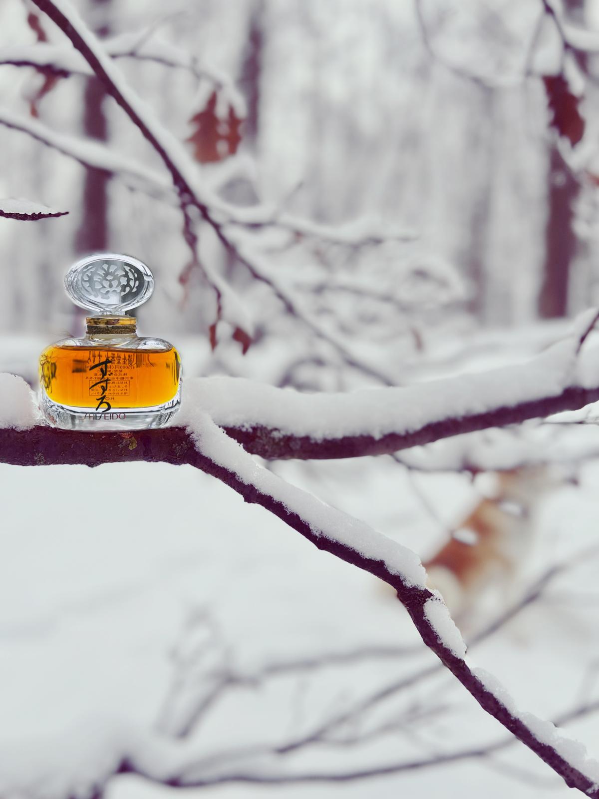 عطر ادکلن سوزورو شیسیدو - Suzuro Shiseido - بررسی، قیمت و خرید