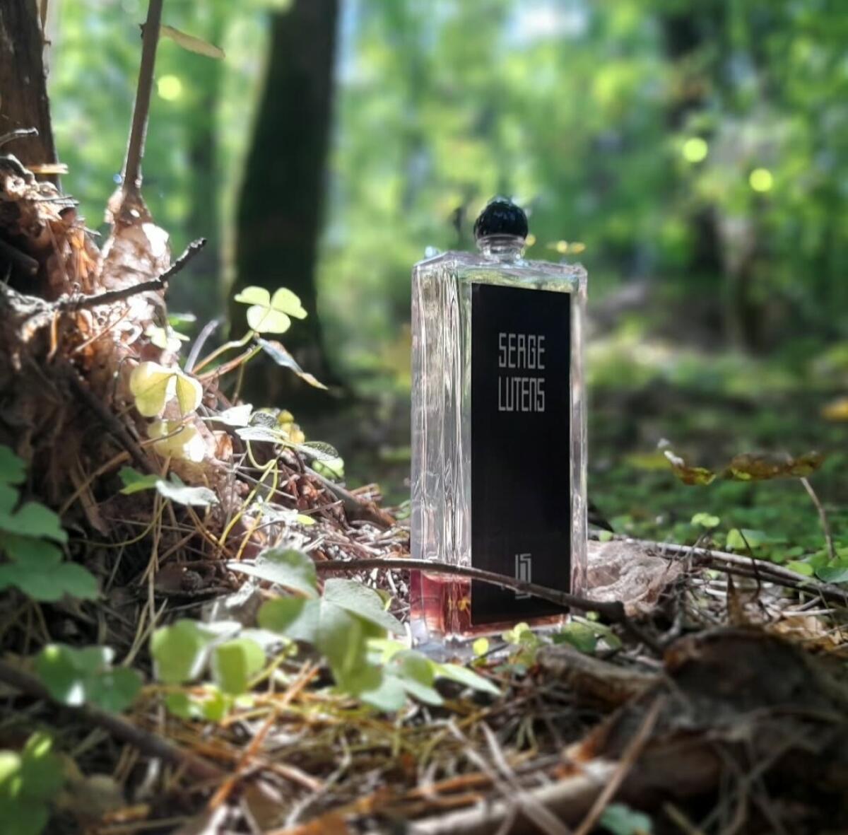 عطر ادکلن سنتال ماجوسکول سرج لوتنس - Santal Majuscule Serge Lutens - بررسی، قیمت و خرید
