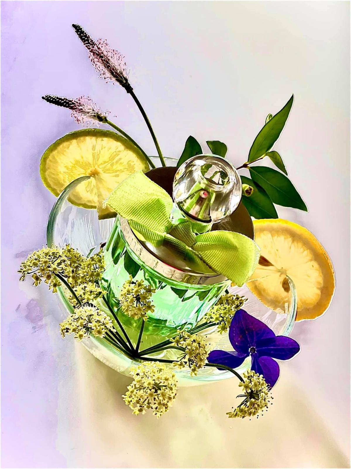 عطر ادکلن او ایتز فرش وومن سیکرت - Eau It's Fresh Women Secret - بررسی، قیمت و خرید