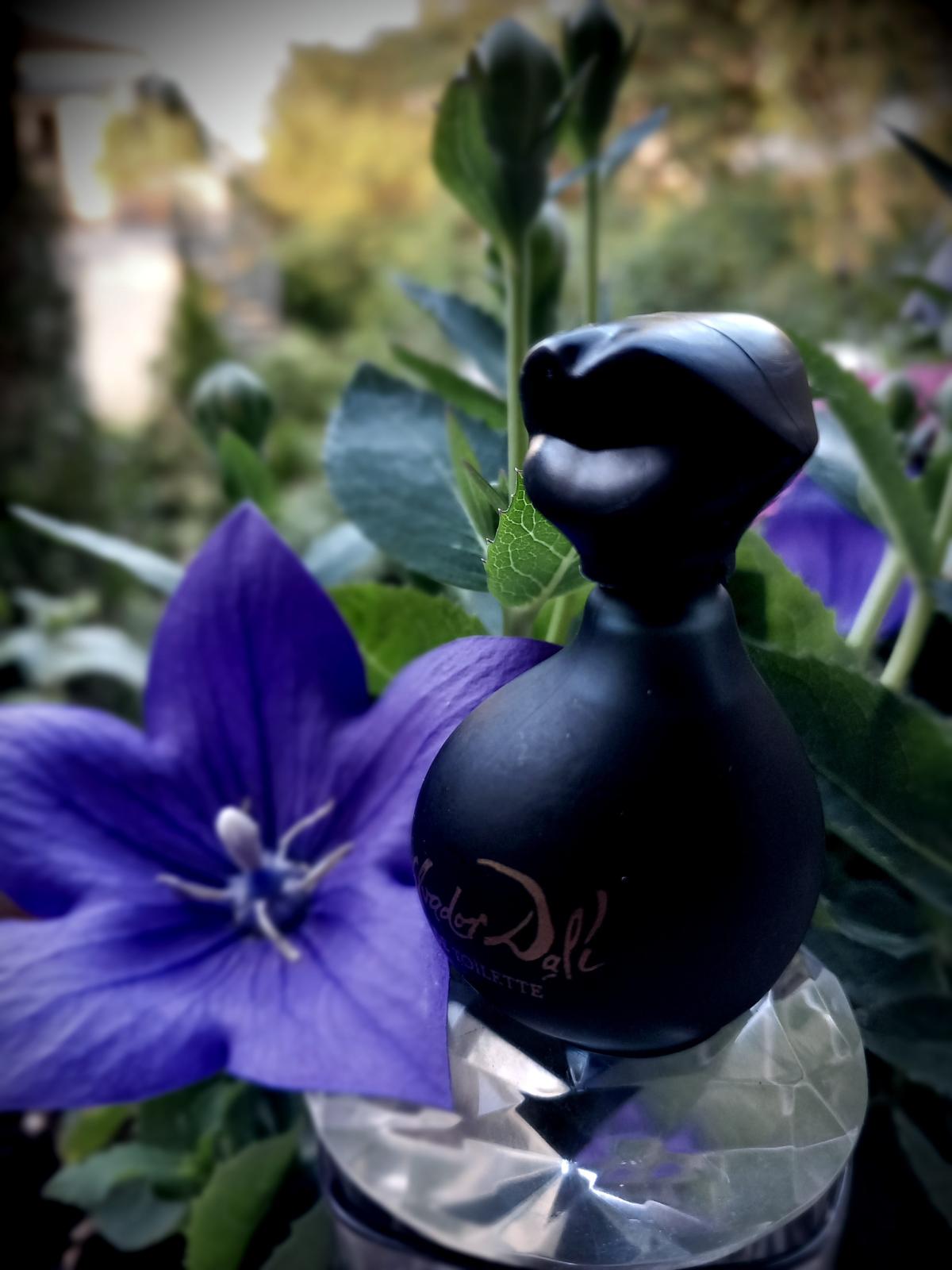 عطر ادکلن دالی‌میکس بلک سالوادور دالی - Dalimix Black Salvador Dali - بررسی، قیمت و خرید