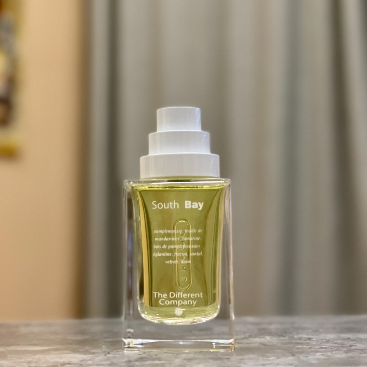 عطر ادکلن سوت بِی د دیفرنت کامپنی - South Bay The Different Company - بررسی، قیمت و خرید