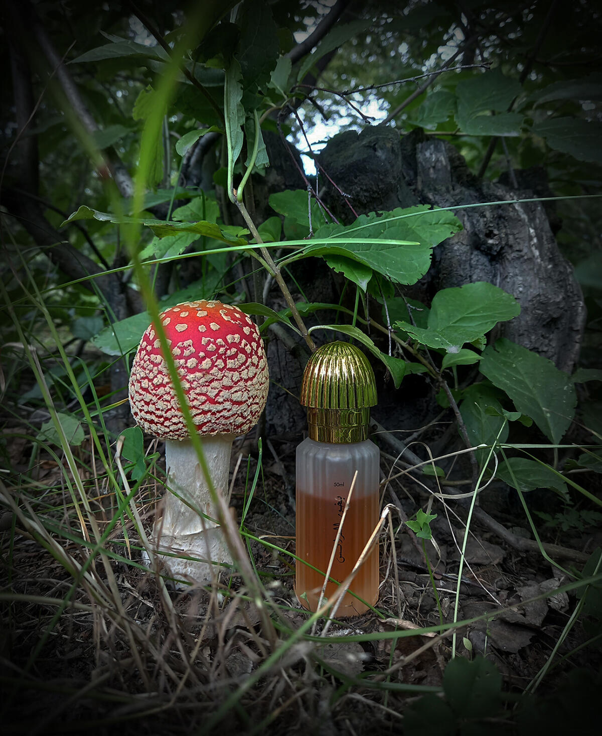 عطر ادکلن بخور العرائس سوئیس عربین - Bakhoor Al Arais Swiss Arabian - بررسی، قیمت و خرید