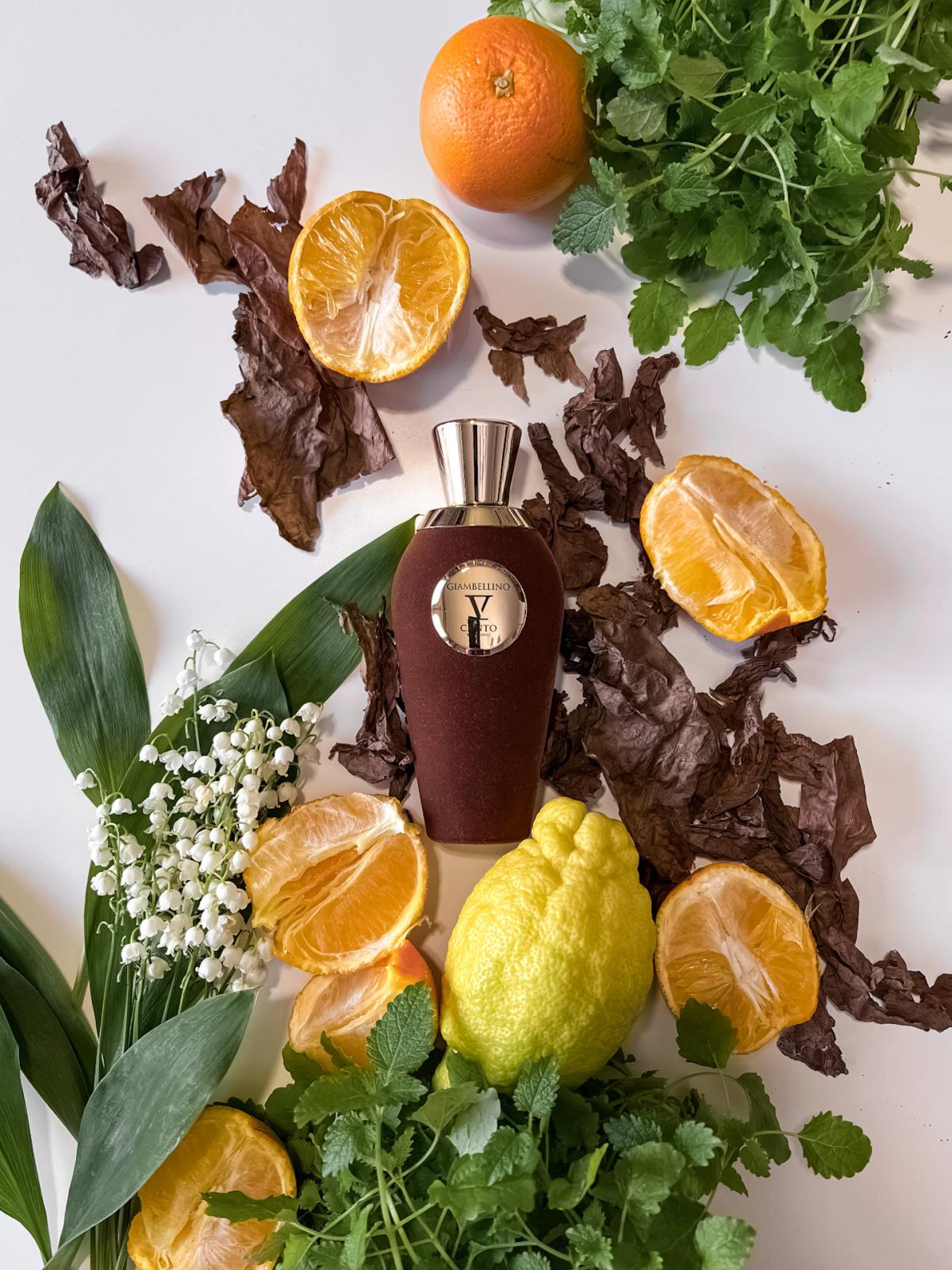 عطر ادکلن جیامبلینو وی کانتو - Giambellino V Canto - بررسی، قیمت و خرید