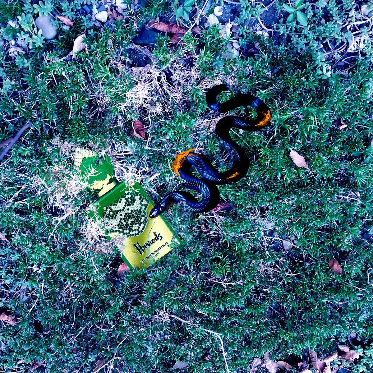 عطر ادکلن هارودز اچ مامبا استفان هومبرت لوکاس ۷۷۷ - Harrods H Mamba Stéphane Humbert Lucas 777 - بررسی، قیمت و خرید