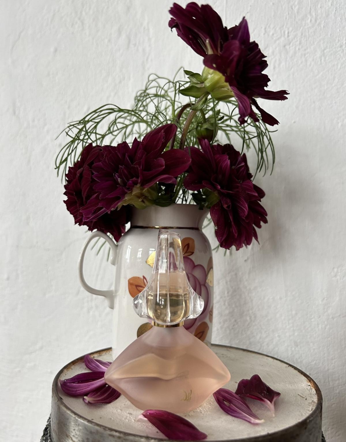 عطر ادکلن اُ دُ دالی سالوادور دالی - Eau de Dali Salvador Dali - بررسی، قیمت و خرید