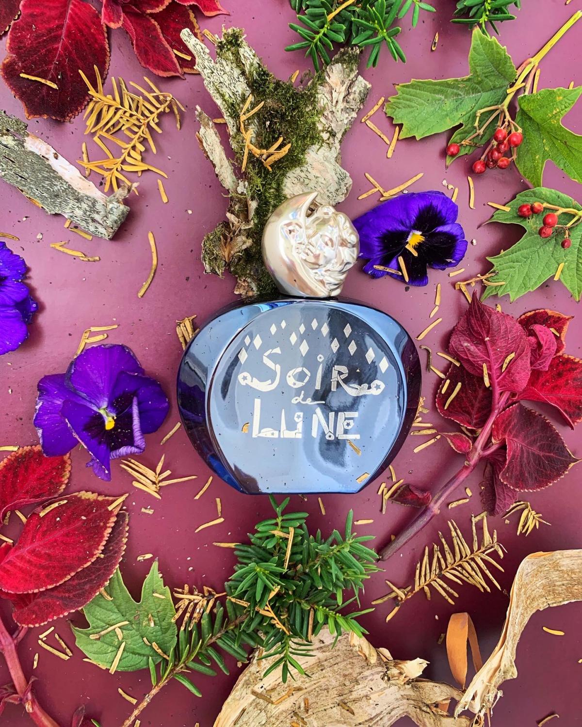 عطر ادکلن سوار دو لون ادیشن لیمیتد ۲۰۱۵ سیسلی - Soir de Lune Édition Limitée 2015 Sisley - بررسی، قیمت و خرید