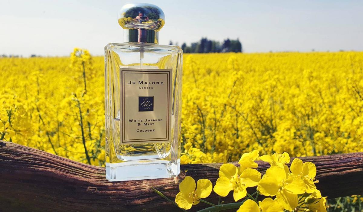 عطر ادکلن وایت جاسمین اند مینت جو مالون لندن - White Jasmine & Mint Jo Malone London - بررسی، قیمت و خرید