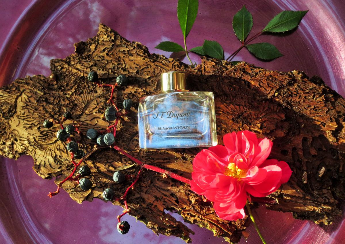 عطر ادکلن ۵۸ اونیو مونتاین پور فم دوپونت - 58 Avenue Montaigne pour Femme S.T. Dupont - بررسی، قیمت و خرید