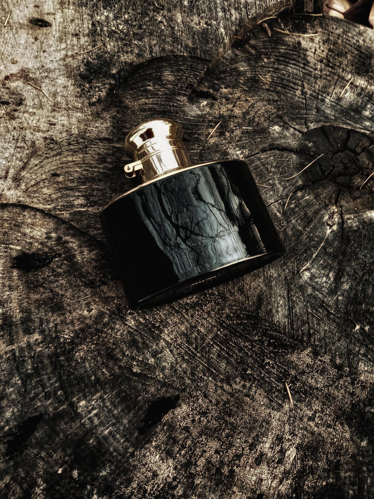 عطر ادکلن وومن بای رالف لورن اینتنس رالف لورن - Woman by Ralph Lauren Intense Ralph Lauren - بررسی، قیمت و خرید