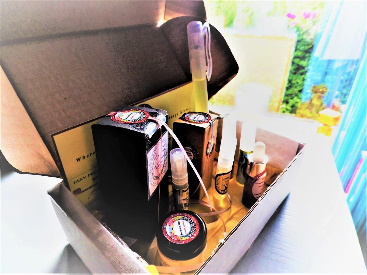 عطر ادکلن آروما بورئالیس سنس آف من - Aroma Borealis Scents of Man - بررسی، قیمت و خرید