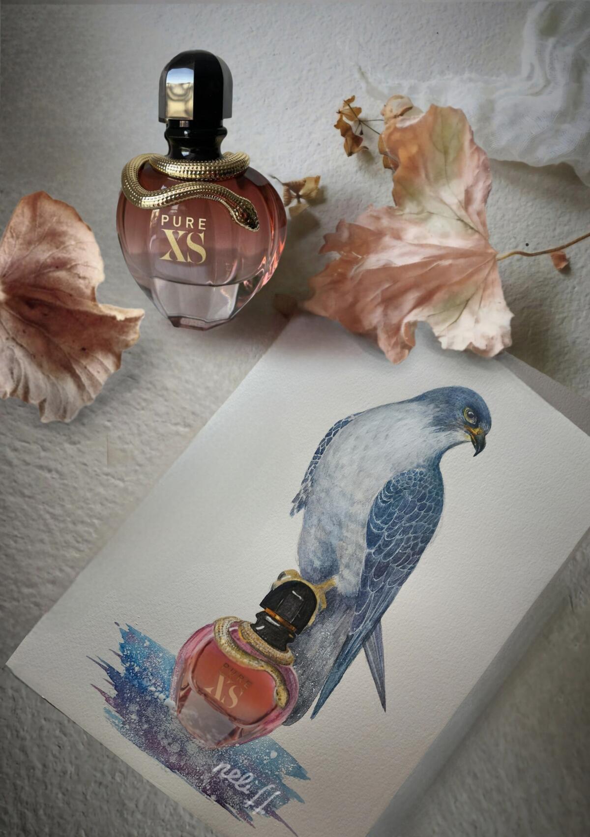 عطر ادکلن پیور اکسس فور هر رابان - Pure XS For Her Rabanne - بررسی، قیمت و خرید