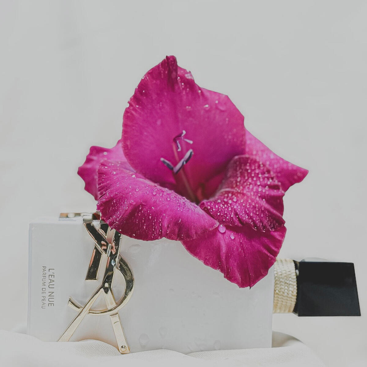 عطر ادکلن لیبر له نو ایو سن لورن - Libre L’Eau Nue Yves Saint Laurent - بررسی، قیمت و خرید