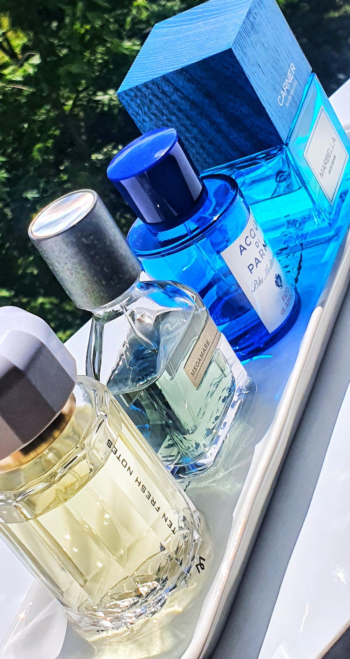 عطر ادکلن تن فرش نوتز رامون مونگال - Ten Fresh Notes Ramon Monegal - بررسی، قیمت و خرید