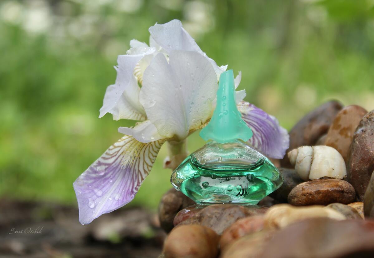 عطر ادکلن لاگونا سالوادور دالی - Laguna Salvador Dali - بررسی، قیمت و خرید