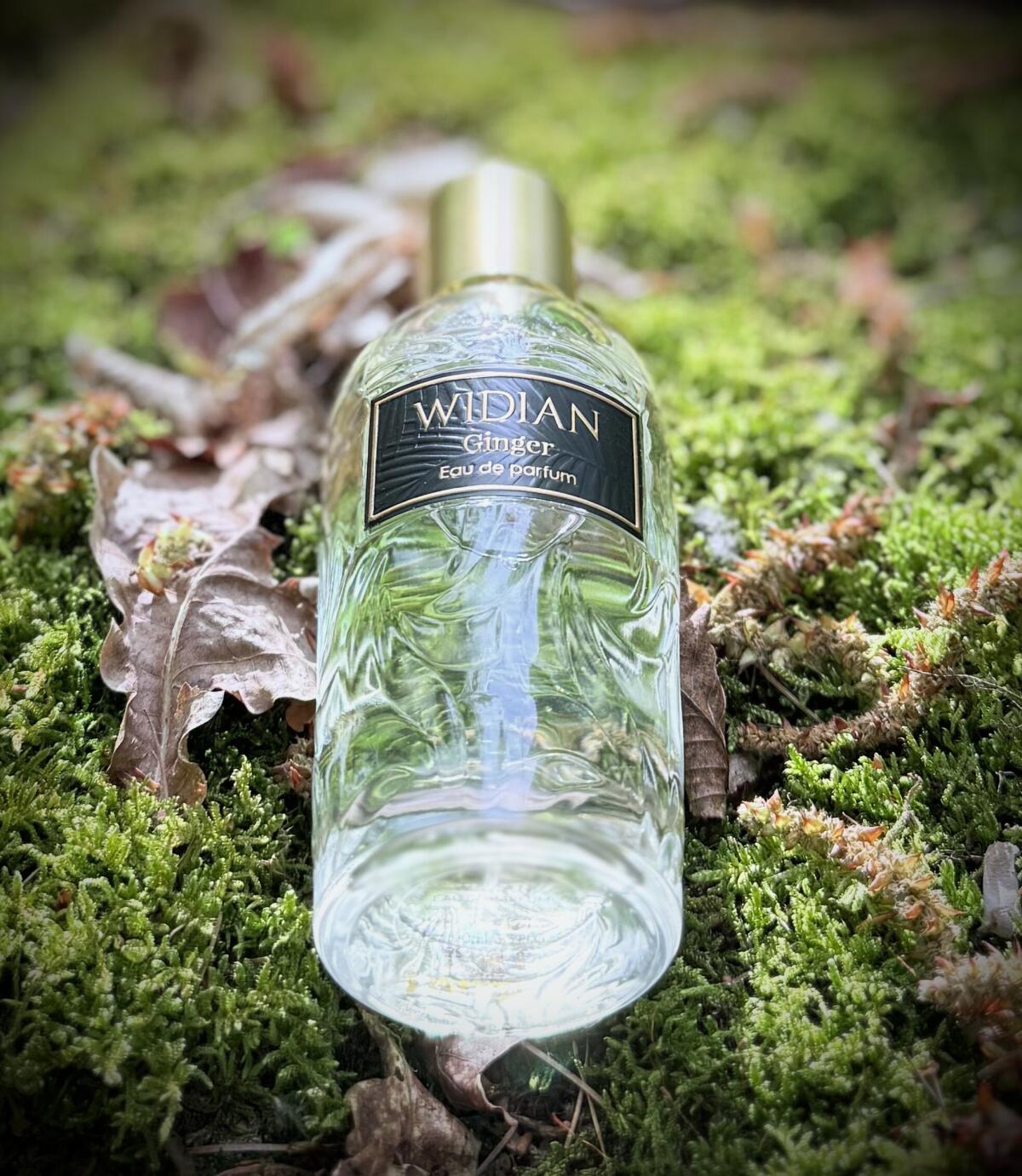 عطر ادکلن رز عربیا جینجر ویدیان - Rose Arabia Ginger WIDIAN - بررسی، قیمت و خرید